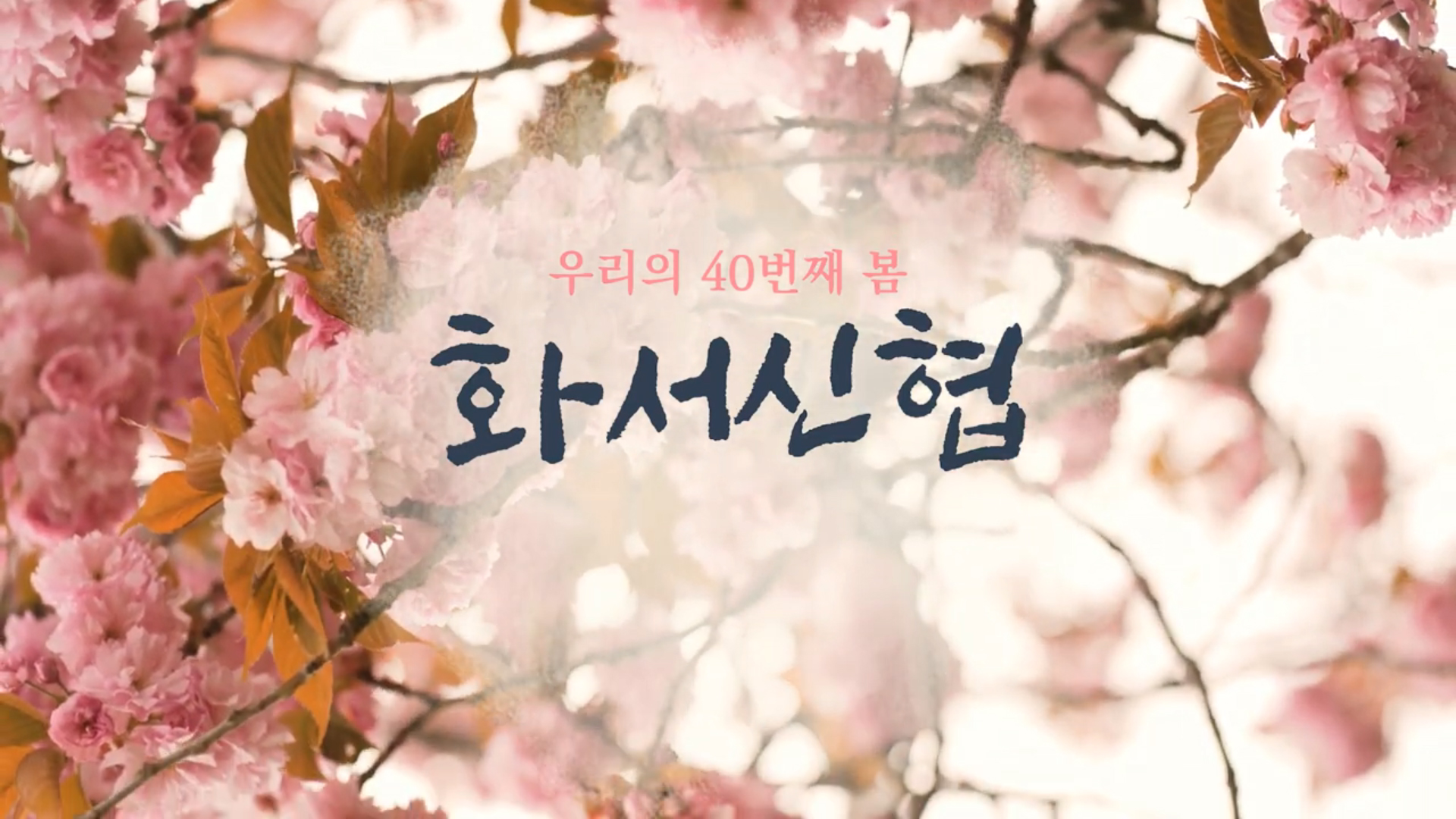 언택트 신협 온뱅킹